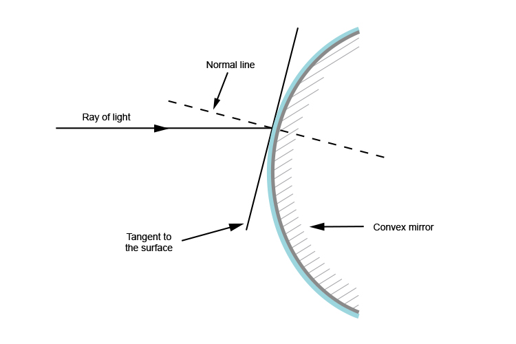 Normal line of a ray of light hitting a convex mirror